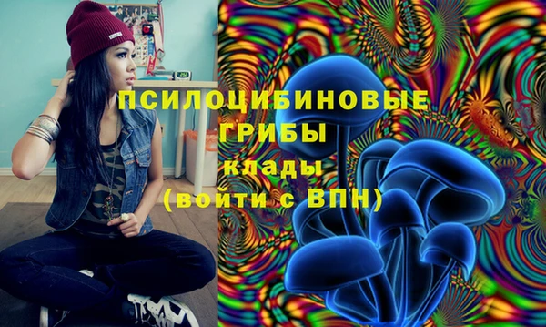 альфа пвп Лабытнанги