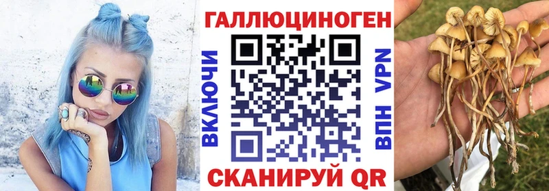 Галлюциногенные грибы Cubensis  Лакинск 